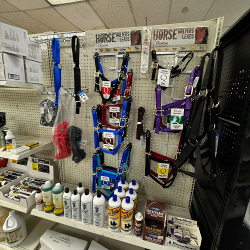 Store shelf displaying various horse halters in blue, red, purple, and black, alongside horse care products like bottles and grooming items. Bright and organized.