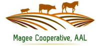Magee Cooperative AAL